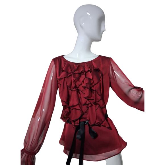 Y2K Whimsigoth Fairycore Witchy Women's size 4 Chiffon Ruffle Vampire Sheer Top - Picture 11 of 16